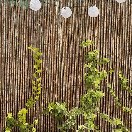 게스트하우스 Cantinho Da Avo Mifa 리스본